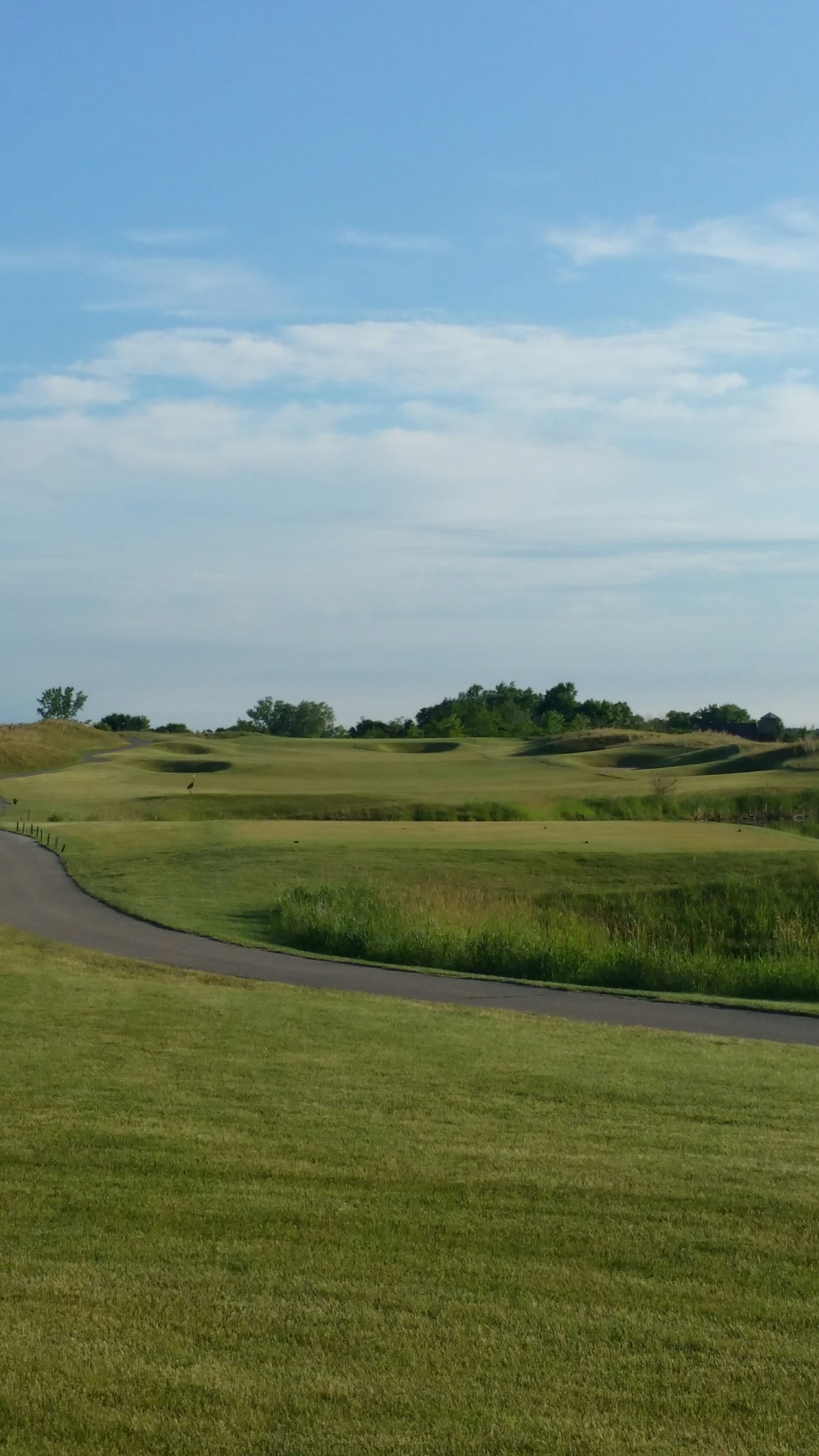 Course Photos Shepherds Crook Golf Course